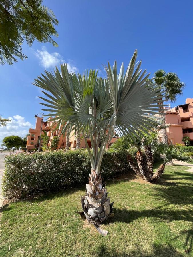 Spirit Of Mar Menor Appartement Torre-Pacheco Buitenkant foto